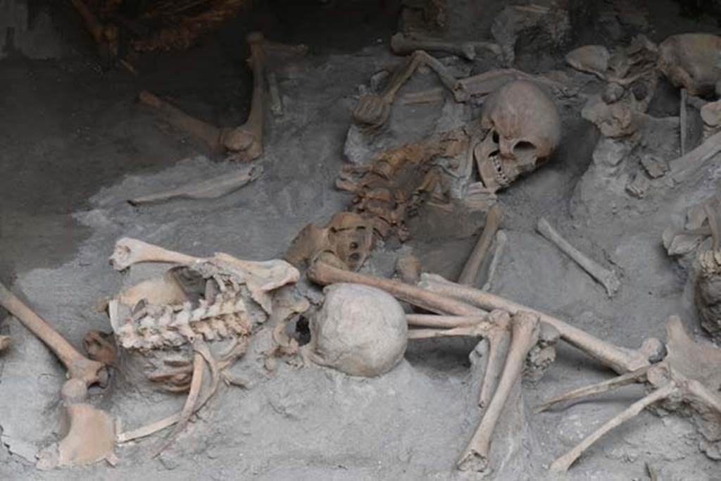 Beachfront, Herculaneum, April 2018. Detail from Boatshed 2. Photo courtesy of Ian Lycett-King. 
Use is subject to Creative Commons Attribution-NonCommercial License v.4 International.